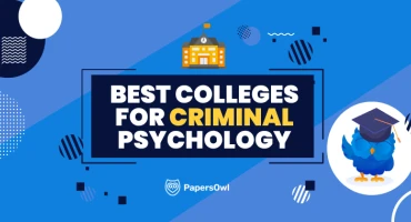 PapersOwl infographic featuring university icons and a graduation-themed owl